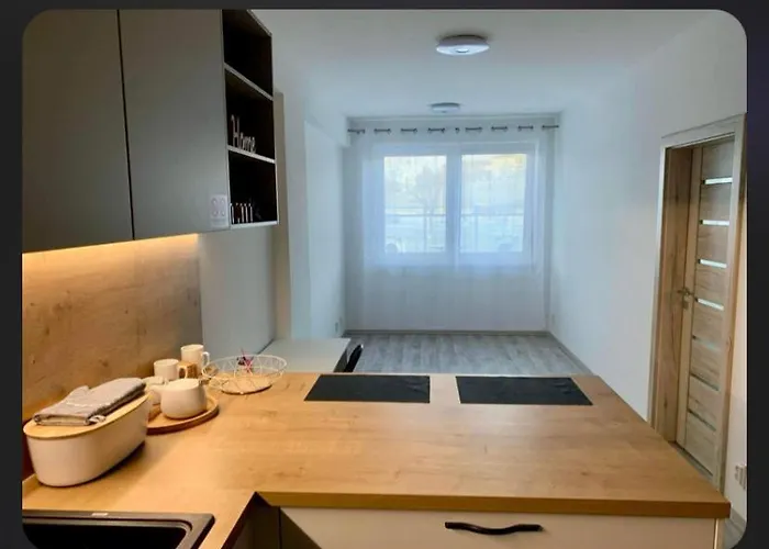 Euphoria/luxurious 코시체